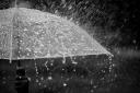 Splashing water on umbrella in the rain in black and white color tone.