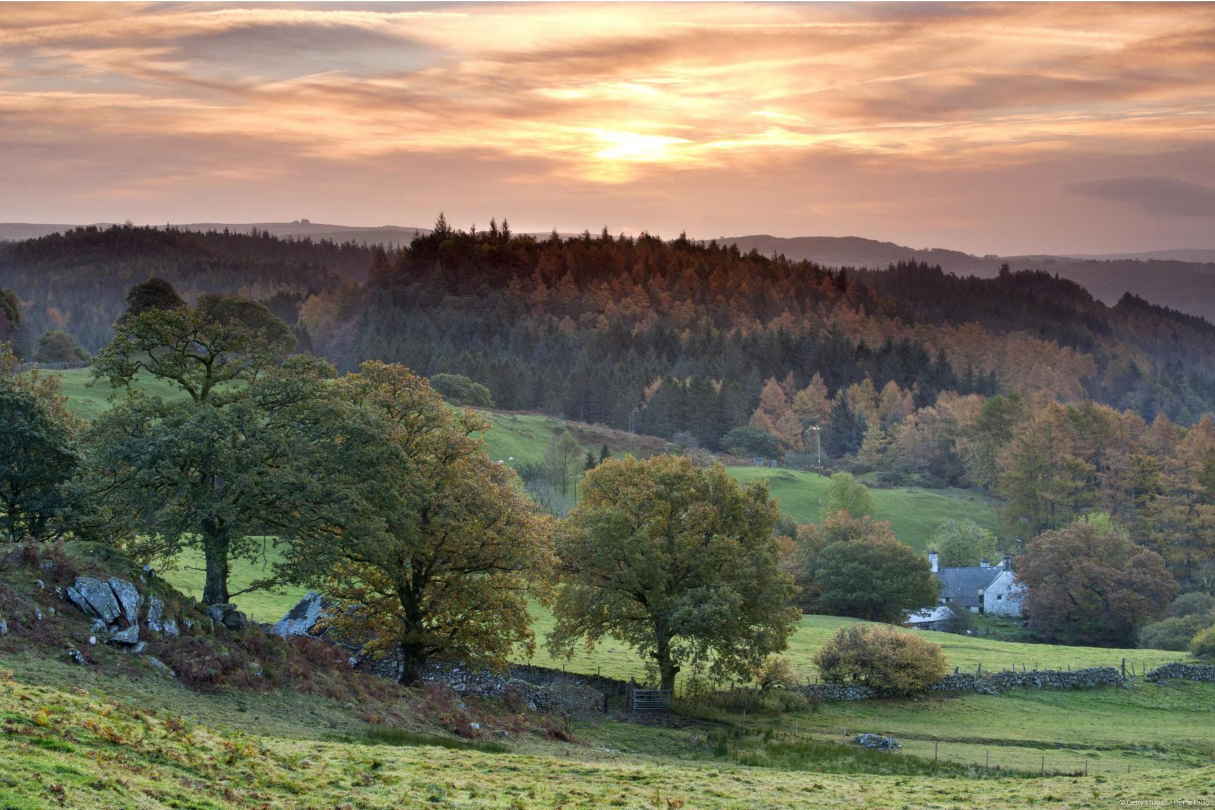 Clocaenog and Gwydir forests named top in the UK. Image: Getty Images