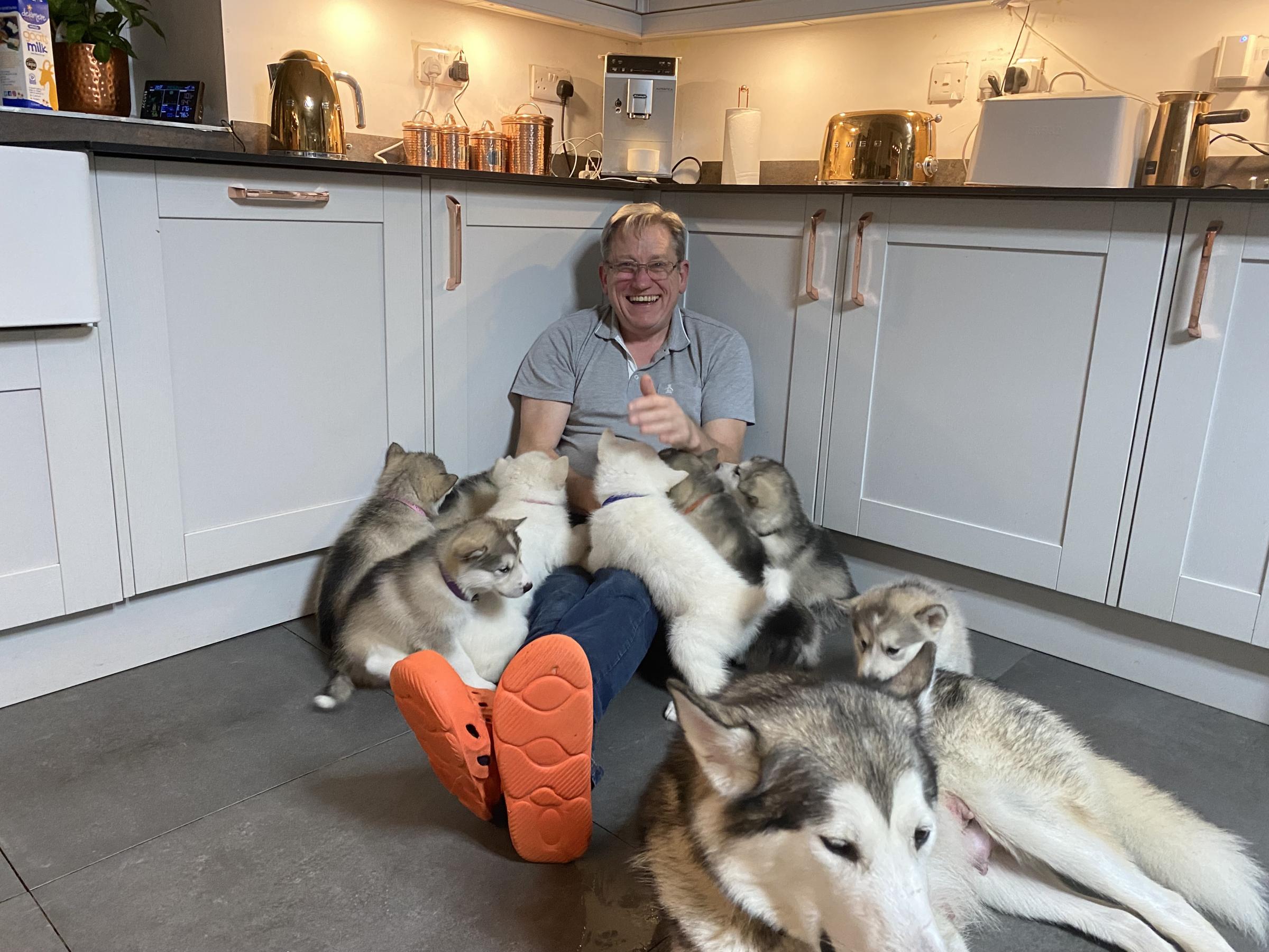 Steven Pooley with some of the puppies. Image: SWNS