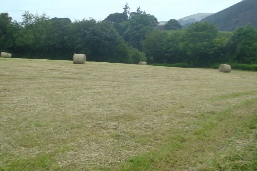 Roberts Homes Ltd submitted a planning application to Denbighshire County Council’s planning department for homes at land at Llys Heulog, Cyffylliog, Ruthin (View across site from entrance looking west)..