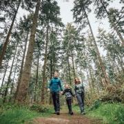 Consultation on Clocaenog Forest is open