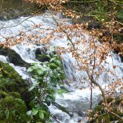 On a drizzly afternoon, a photo of a waterfall at Rhyd-y-gaseg by Helen Evans