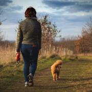 Proposals for a Denbigh dog walking area are on hold