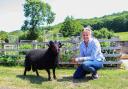 Ellen has her own flower farming and floristry enterprise, which she runs alongside managing her family's pedigree flock of Black Welsh Mountain sheep.