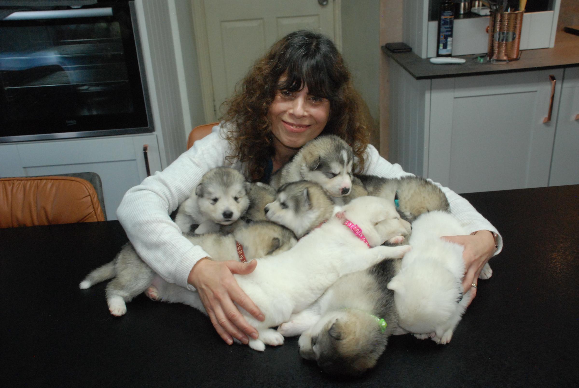 Gulin Milne with some of the puppies. Image: SWNS