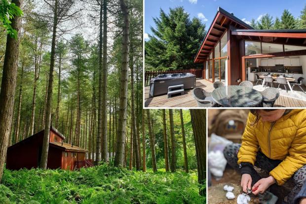 Enjoy a luxury getaway with Forest Holidays lodge at Delamere Forest.
