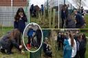 Pupils from Ysgol Esgob Morgan, in St Asaph, have supported Denbighshire County Council’s schools tree planting project.