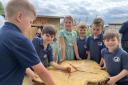 Pupils with one of the new tree stumps