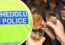 Undercover North Wales police officers will mingle with night-time revellers in the weeks leading up to Christmas to keep women safe.