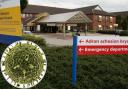 Main image of Wrexham Maelor Hospital / Inset of norovirus pathogen.
