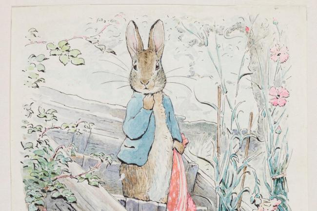 Watercolour and pencil on paper of Peter Rabbit with handkerchief by Beatrix Potter, 1904