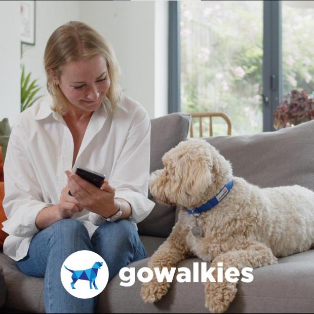 Denbighshire Free Press: GoWalkies is quick and easy to use from both the walkers and owners perspective. (GoWalkies)
