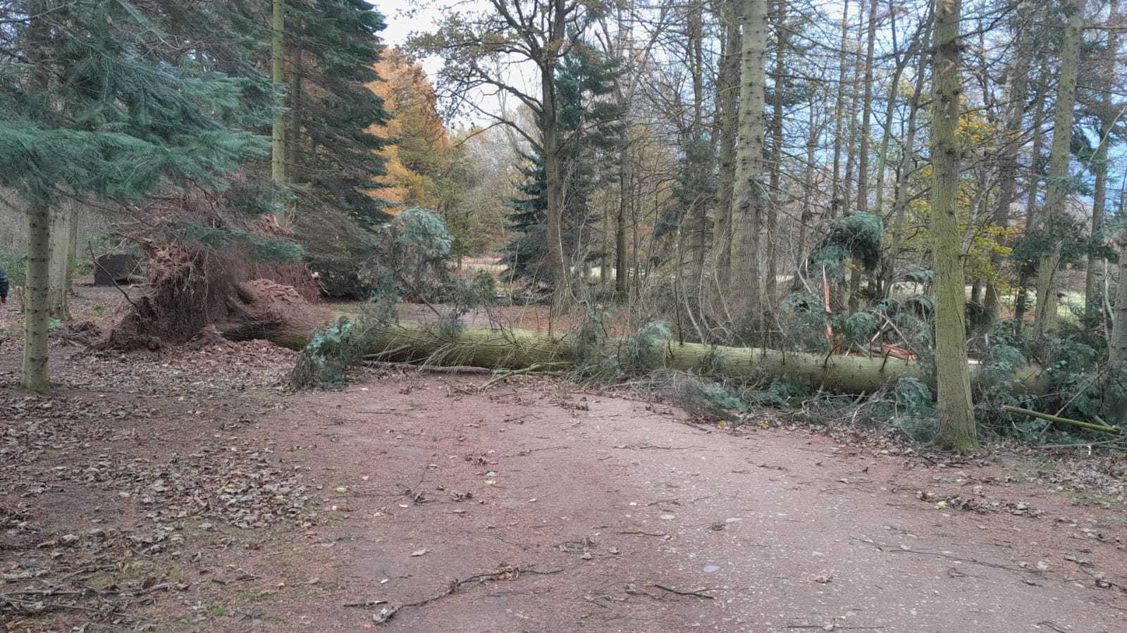 Storm damage at Bodnant Gardens. Image: National Trust/Facebook