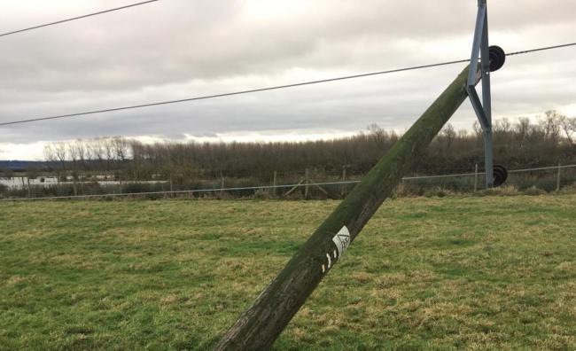Storm Arwen left a trail of destruction throughout North Wales on Friday, November 26.