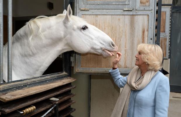 Denbighshire Free Press: Camilla was a down-to-earth Sussex girl who grew up with a love of horses. Picture: PA