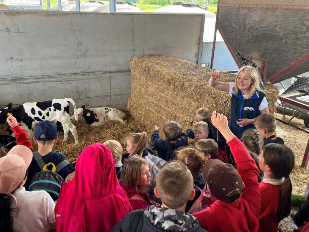 Denbighshire Free Press: NFU Cymru Student & Young Farmer Ambassador Erin McNaught talks to children about dairy calves