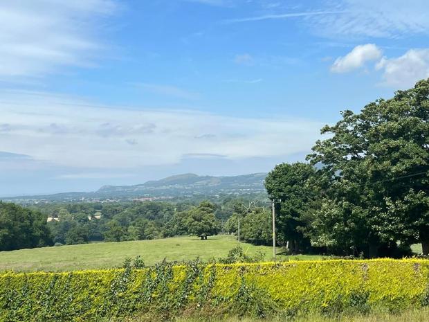 Denbighshire Free Press: Elizabeth Morris with a stunning view from her garden