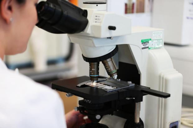 Denbighshire Free Press: Samples being analysed in a microscope. Credit: PA