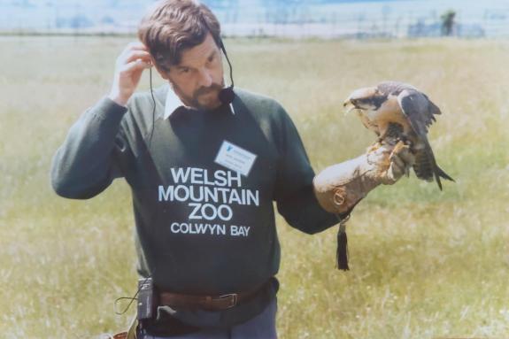 Denbighshire Free Press: NZSW Trustee, Nick Jackson with Lanner Falcon, Mrs Robinson. Denbighshire Free Press: NZSW Trustee, Nick Jackson with Lanner Falcon, Mrs Robinson.