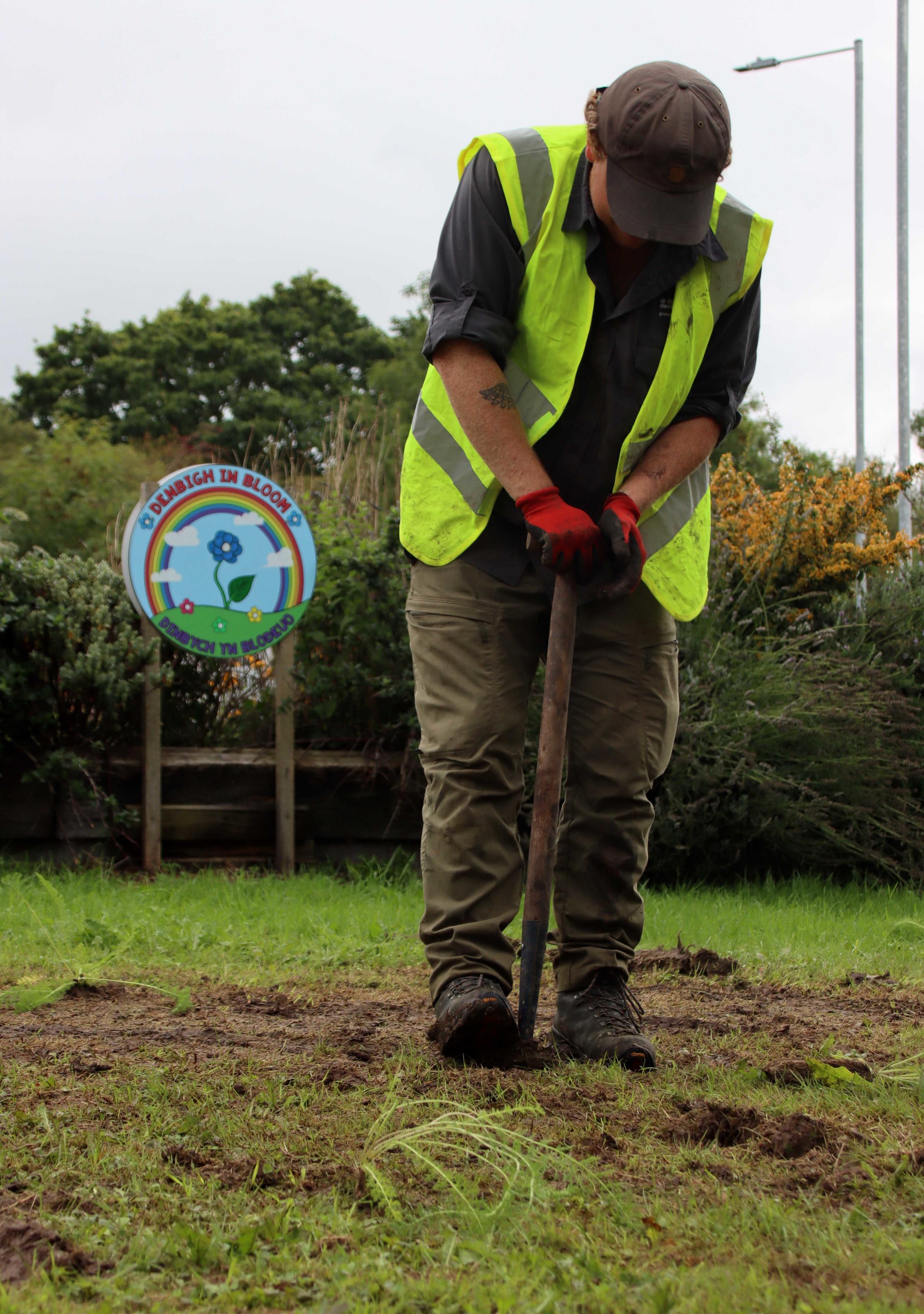 Denbigh in Bloom volunteers joined Denbighshire County Councils Biodiversity team to add more colour and variety to the ATS roundabout. Image: DCC