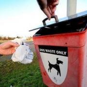 Dog fouling incidents reported in Denbigh
