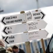 The roadshow will be at the Denbigh and Flint Show