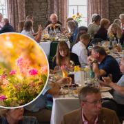 Denbigh voted best town in Wales in National Wales in Bloom Awards. Credit: Ann Seymour Photography