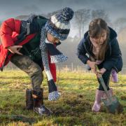 People can pick up free trees from three Denbighshire sites as part of the My Tree Our Forest initiative