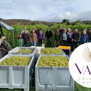 North Wales grape farmers, Vale Vineyard, up for Rising Star in Welsh awards