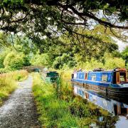 Photographs of Llangollen Canal by Cathie Langton.