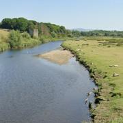 River Clwyd