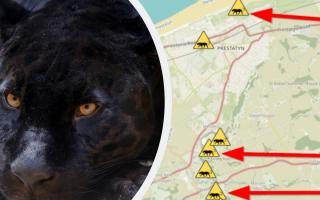 Big cat encounters in the Prestatyn area. Map: Puma Watch North Wales.