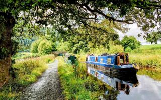 Photographs of Llangollen Canal by Cathie Langton.