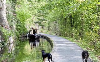 Llangollen canal in North Wales